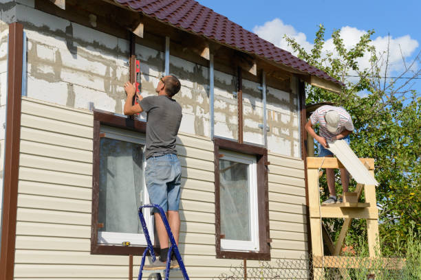 Best Aluminum Siding Installation  in Meridianville, AL