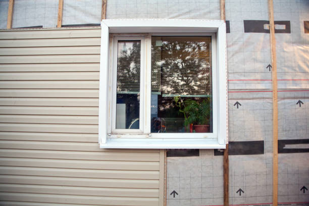 Best Custom Siding Design  in Meridianville, AL