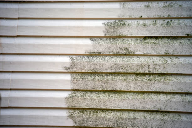  Meridianville, AL Siding Installation Pros