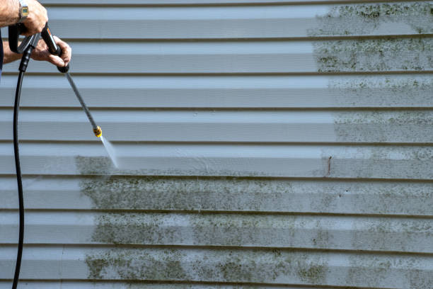 Best Fascia and Soffit Installation  in Meridianville, AL