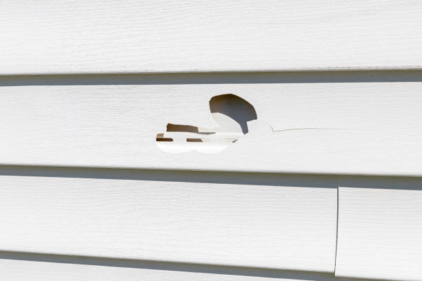 Custom Trim and Detailing for Siding in Meridianville, AL