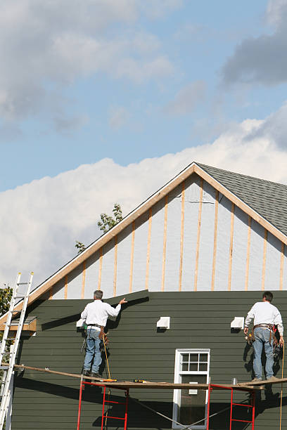 Best Steel Siding Installation  in Meridianville, AL