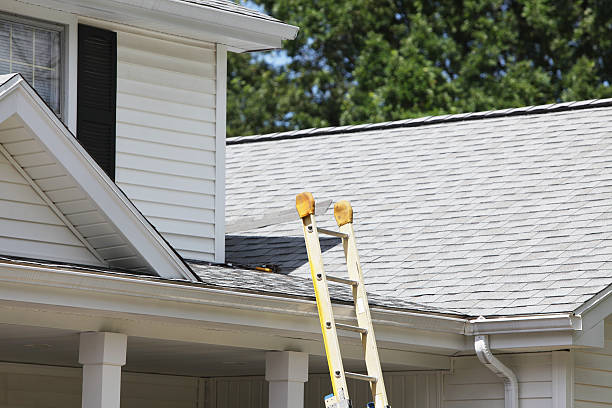 Best Siding Replacement  in Meridianville, AL