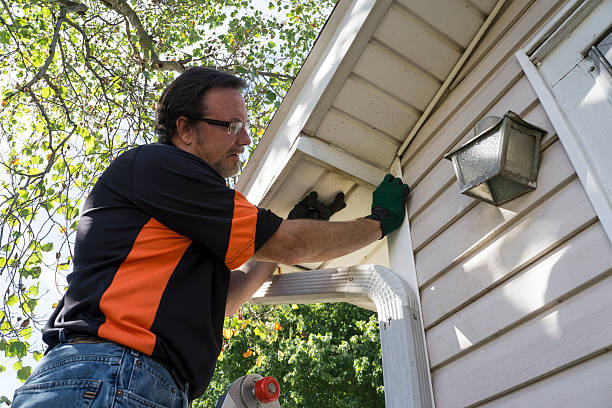 Best Historical Building Siding Restoration  in Meridianville, AL
